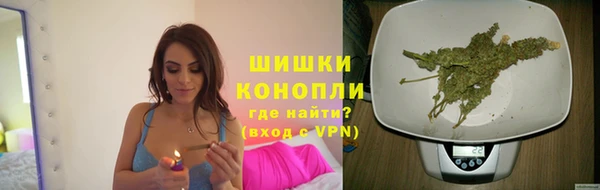 mdpv Медвежьегорск