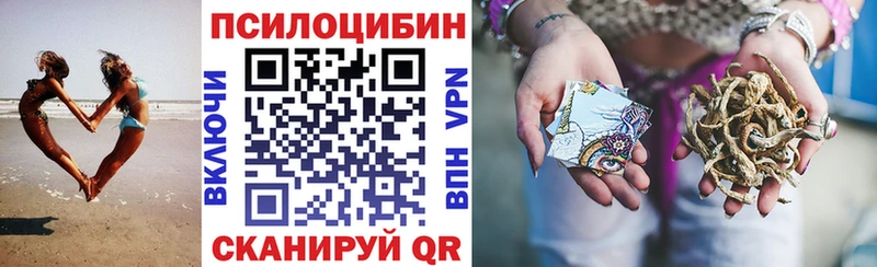 где купить наркоту Темников Галлюциногенные грибы MAGIC MUSHROOMS